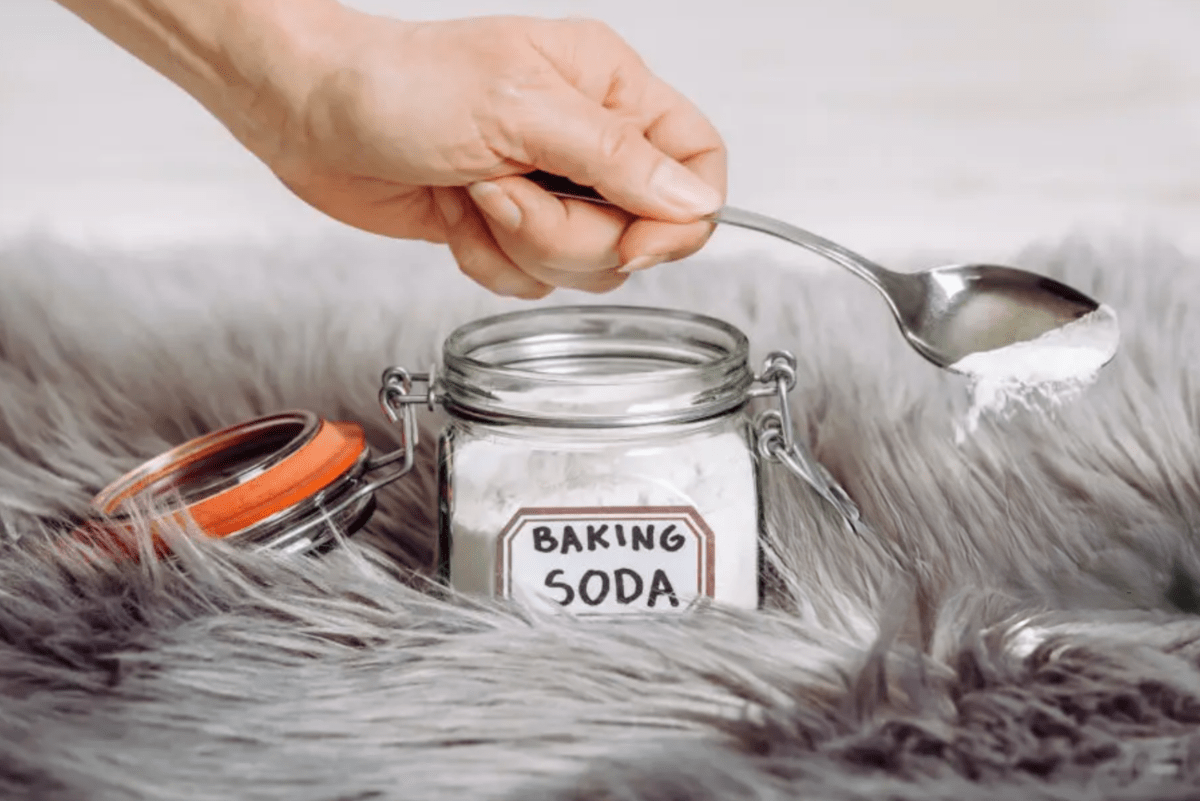 Comment laver une peau de mouton naturelle? - Atelier Garneau